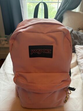 Jansport Light Pink Classic Backpack